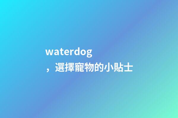 waterdog，選擇寵物的小貼士